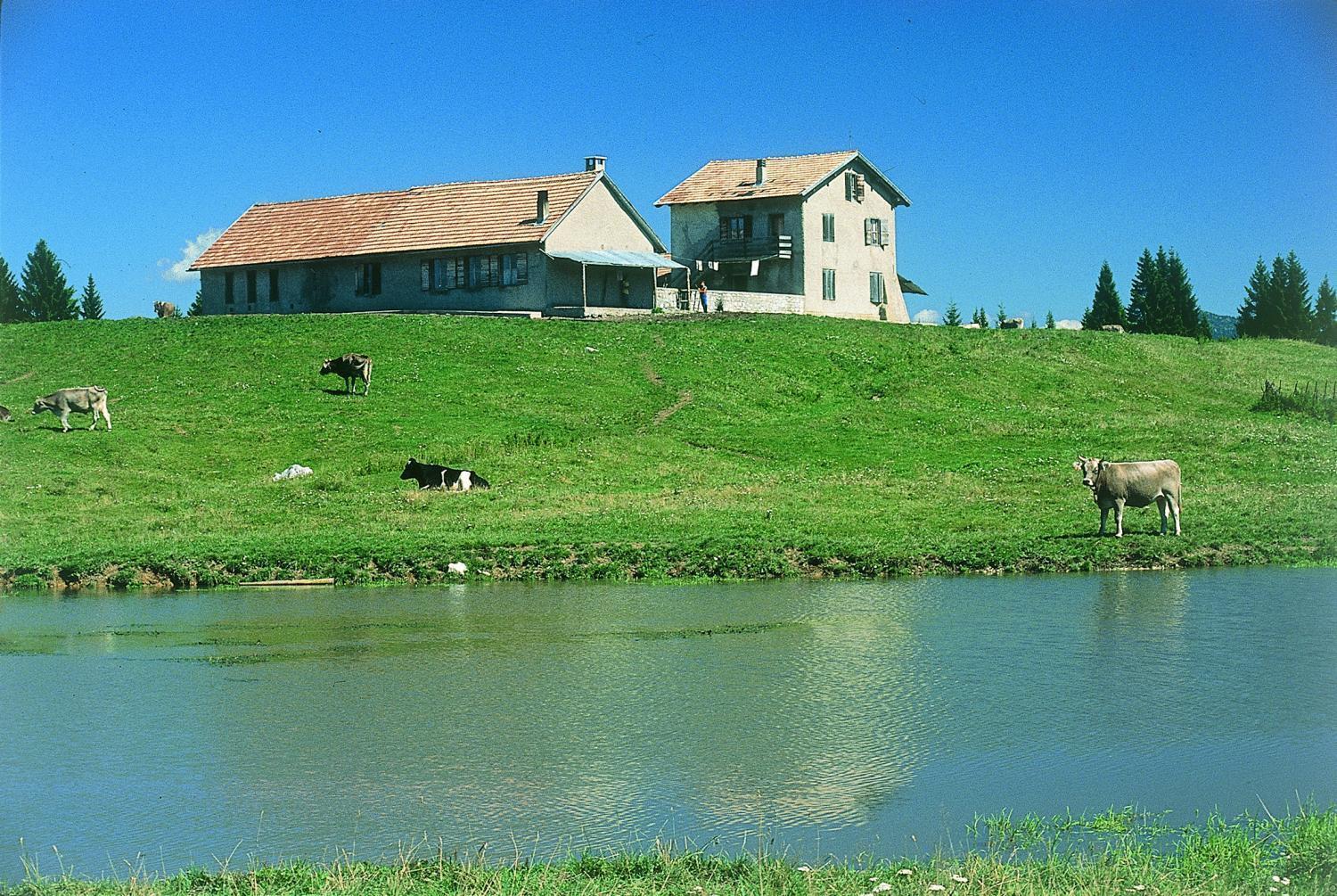Alaska Clubresidence Folgaria Dış mekan fotoğraf